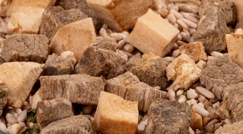 Сублімовані інгредієнти для грузинського сливового супу з яловичиною — туристична їжа та перша страва в дорогу