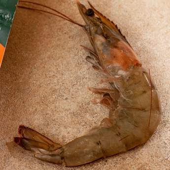 На фото видно креветку для страви SubliMate — саме вона формує смак пасти з креветками та вершковим соусом.