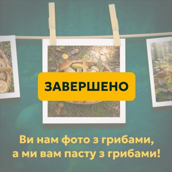 Готуйте кошики разом із Sublimate — виграйте пасту з грибами Кошики з білими грибами, лисичками й підберезниками, фото для участі в акції Sublimate